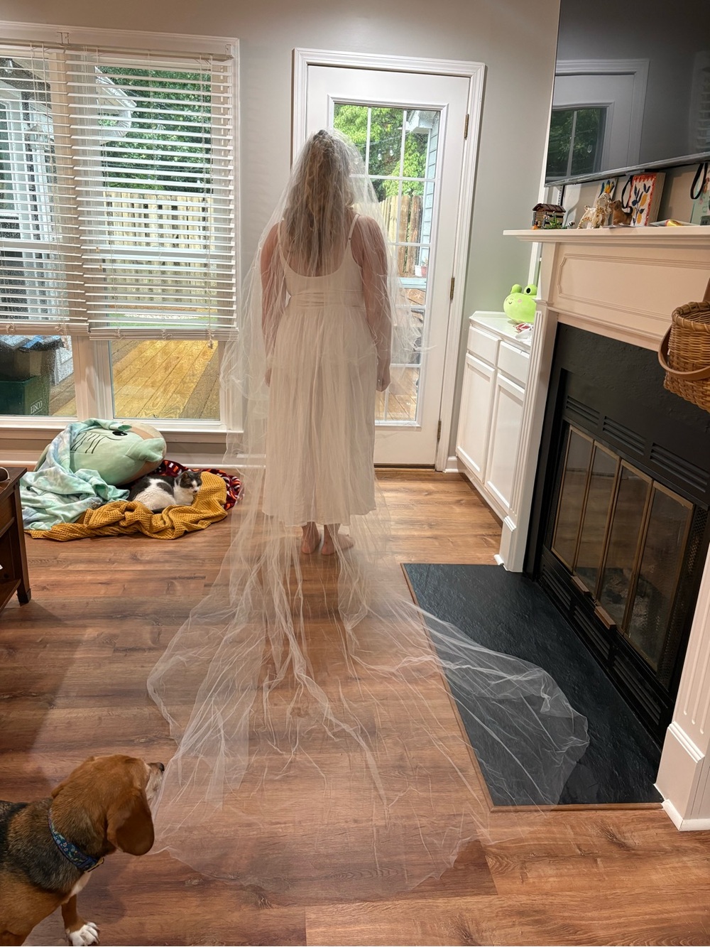 White Bridal Veil with Long Cathedral Train
